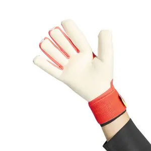 Rękawice bramkarskie adidas Predator Pro image-2