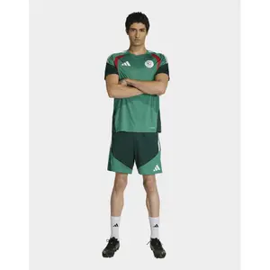 Korte Training Algerije 2026 image-1