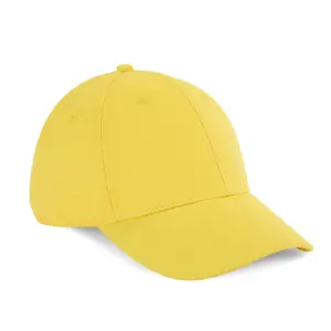 5 Panel Cap 6 Panels K-up Gold Label image-1
