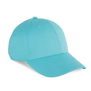 5 Panel Cap 6 Panels K-up Gold Label image-1