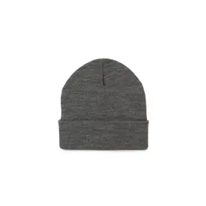 Beanie with thinsulate lining K-up image-0