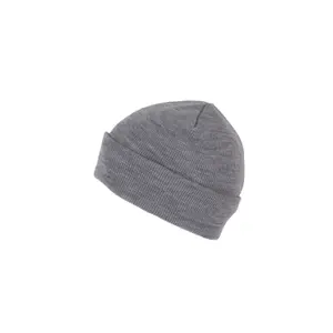 Beanie with thinsulate lining K-up image-1