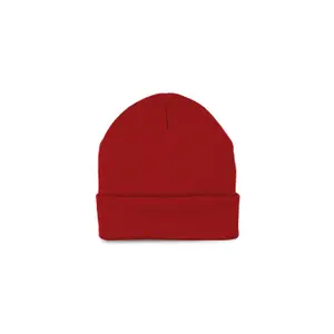 Beanie with thinsulate lining K-up image-0
