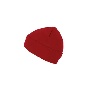 Beanie with thinsulate lining K-up image-1