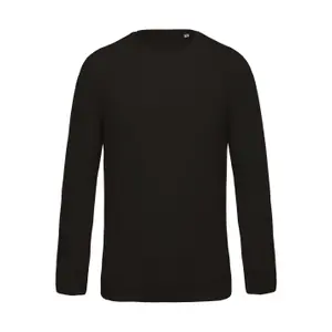 Sweatshirt child Kariban Bio