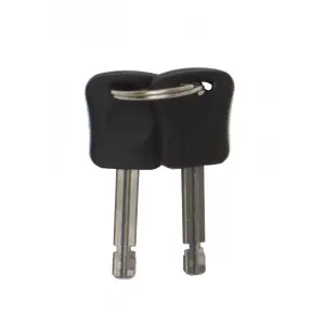 Dispositivo antirrobo k10 Auvray 85 X 310 image-2