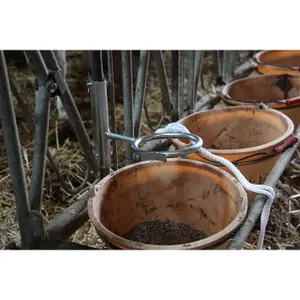 Anneau de contention pour veau Kamer image-2