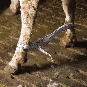 Triple Adjustable Nylon Restraint Kamer image-1