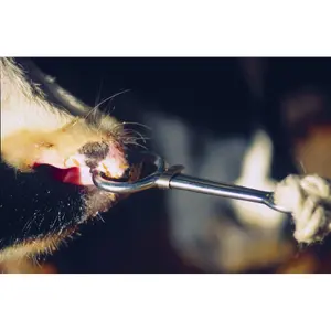 Pince mouchette à coulant acier nickelé Kamer image-1