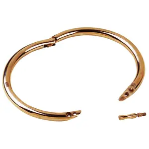 Brass bull ring Kamer image-0