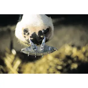 Adjustable screw-type spike retainer Kamer image-1