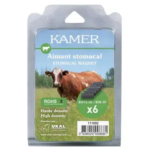 Γυμνός στοματικός μαγνήτης Kamer (x6) image-2