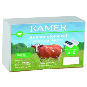 Ímanes estaminais nus Kamer (x12) image-1