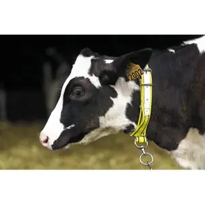 Collar de nylon para ganado Kamer image-0