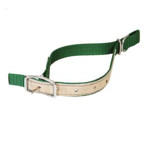 121152008-nylon-collar-for-sheep-kamer-green-65x2-5-cm