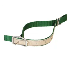 Nylon collar for sheep Kamer