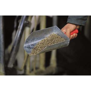 Getreideschaufel aus verzinktem Blech Kamer image-1