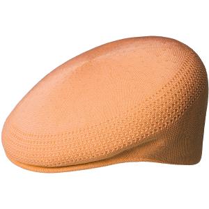 0290bc-pm803-basker-kangol-tropic-504-ventair-papayamjolk