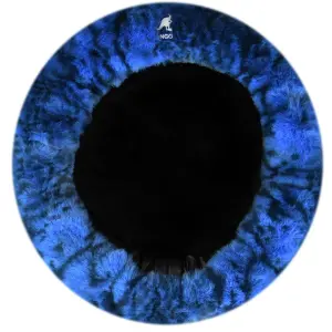 Dames baret van imitatiebont Kangol image-3