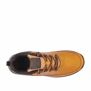 Baskets Kappa Monsi Logo image-3