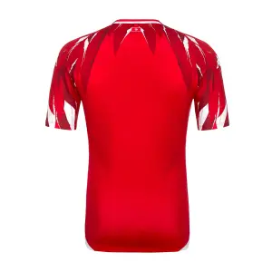 Tunisia Away Kit Pro 2026/27 image-1