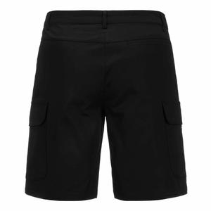 Short Alpine F1 Aidipy 2024 image-2