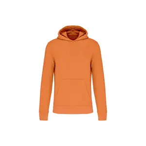 Eco-friendly hooded sweatshirt for kids Kariban image-0