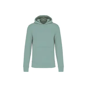 Eco-friendly hooded sweatshirt for kids Kariban image-0