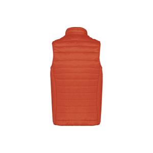 Lichtgewicht mouwloos donsjack Kariban image-1