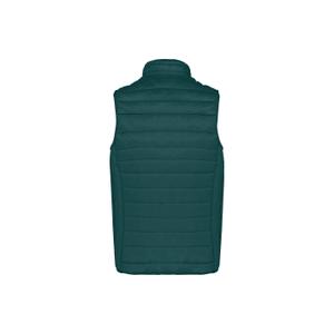 Lichtgewicht mouwloos donsjack Kariban image-1