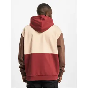 Sweatshirt à capuche Karl Kani Signature Block image-1