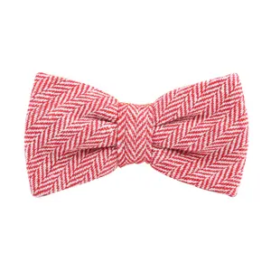 Noeud papillon Karlowsky image-0