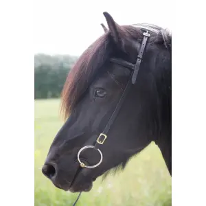 Apoio de cabeça para cavalo com fita para a testa Karlslund Iceland image-1