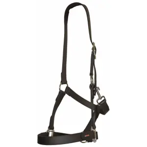 Cavezza in cuoio per cavalli Karlslund BioThane image-0