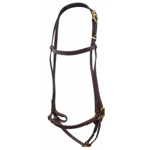 k323-bro-bra-reittrense-mit-hannoveranischem-reithalfter-karlslund-braun-brass-3x33x22-cm