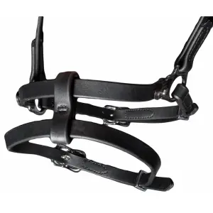 Angielska uzda kombinowana z nachrapnikiem Karlslund image-0