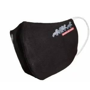 Sanitair masker Karlslund image-0