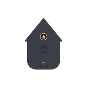 Budzik Karlsson Sound box Modern Cuckoo