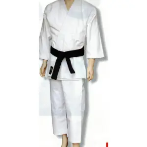 Kimono Kashikai Nihon image-0