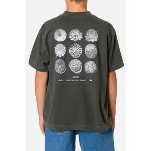 T-shirt για αγόρι Katin Specimen Box Fit image-2