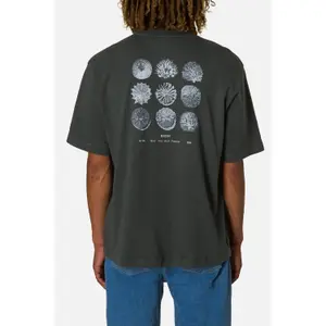 T-shirt Katin Specimen image-2