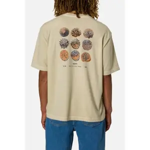 T-shirt Katin Specimen image-2
