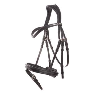 0190071150213-sportridan-for-hast-med-flash-kavalkade-robin-english-nb-svart-silver