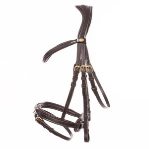 0190071150312-sportridan-for-hast-med-flash-kavalkade-robin-english-nb-brun-massing