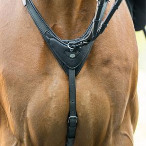 Mild martingal för häst med stoppning Kavalkade Azriel image-2