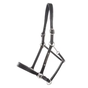 Skórzany kantar dla koni Kavalkade Bennet