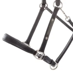 Skórzany kantar dla koni Kavalkade Bennet image-1