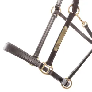 Skórzany kantar dla koni Kavalkade Bennet image-1