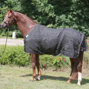 Κάλυμμα στάβλου για άλογο Kavalkade Stallion Chest 50 g image-0