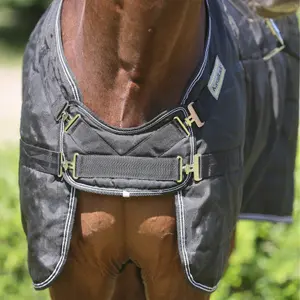 Κάλυμμα στάβλου για άλογο Kavalkade Stallion Chest 50 g image-1